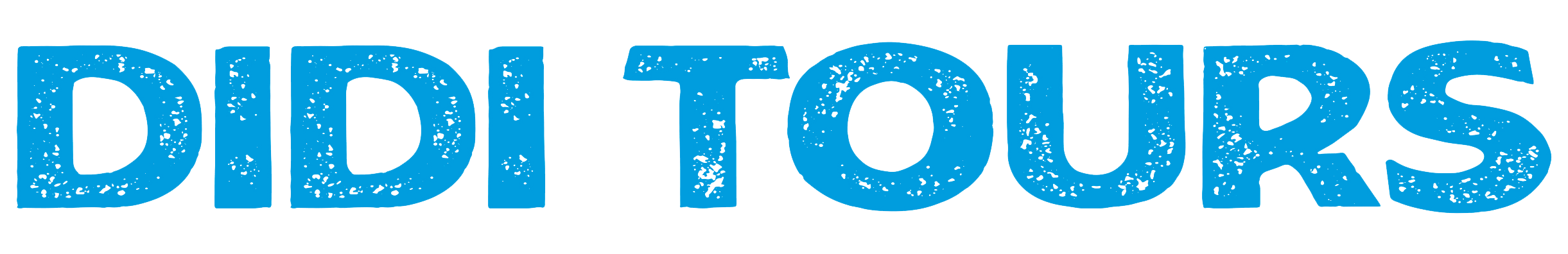 DIDI TOURS